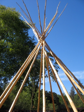 tipi poles